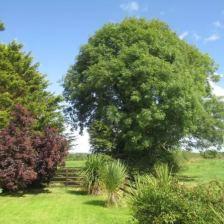 Tralia Self Catering * Farranfore